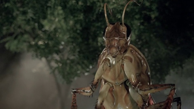 Video Reference: Insect, Organism, Photography, Invertebrate, Locust, Cricket-like insect, Fictional character, Cricket, Art