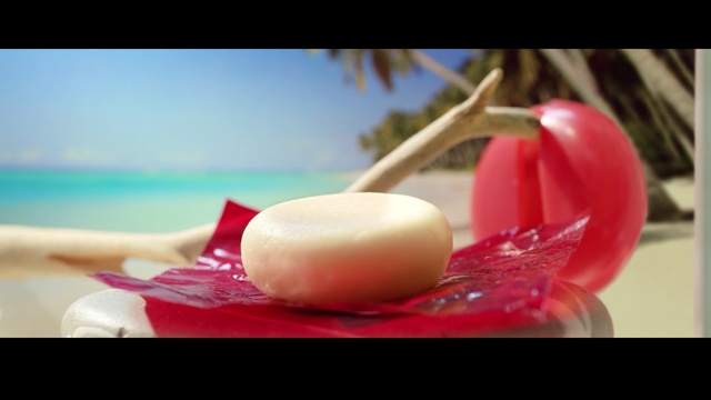 Video Reference: red, close up, still life photography, computer wallpaper, petal