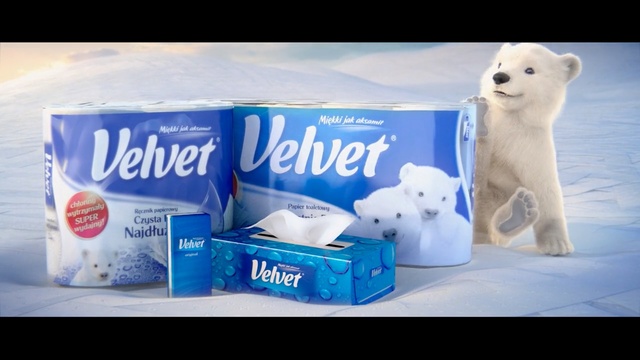 Video Reference: Polar bear, Bear, Dairy, Ice, Carnivore, Drink