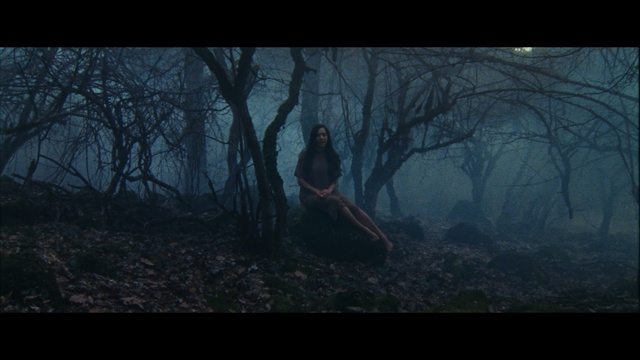 Video Reference: Nature, Black, Darkness, Photograph, Atmospheric phenomenon, Atmosphere, Tree, Natural environment, Forest, Woodland