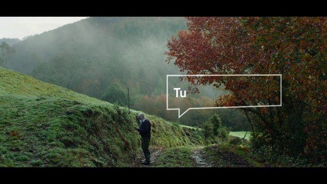 Video Reference: Nature, Vegetation, Green, Atmospheric phenomenon, Natural environment, Wilderness, Leaf, Natural landscape, Forest, Tree