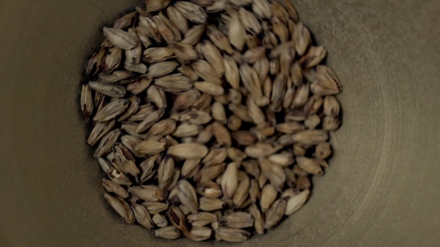 Video Reference: food grain, vegetarian food, commodity, cereal, ingredient, nut, grass family, seed