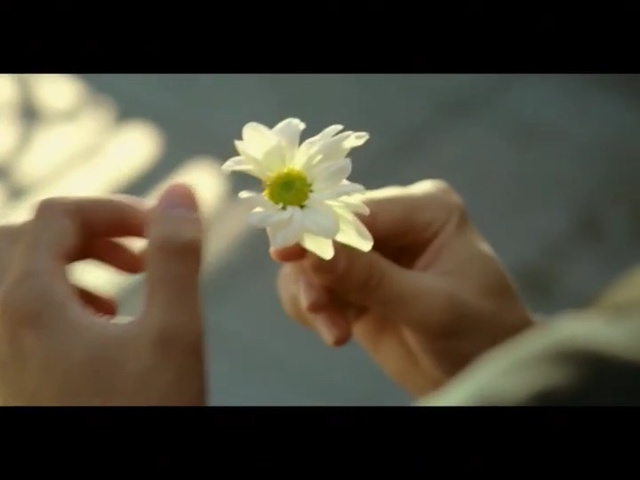 Video Reference: flower, yellow, flora, hand, petal, finger, nail, floristry, blossom, plant