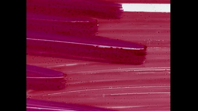 Video Reference: Pink, Red, Magenta, Violet, Purple, Line, Close-up, Material property, Carmine, Photography, Outdoor, Sitting, Water, Photo, Dark, Man, Orange, Night, White, Sunset, Street, Sign, City, Food, Fire, Standing, Snow, Ocean, Parked, Abstract, Text