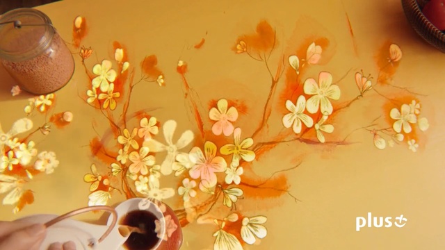 Video Reference: Orange, Peach, Still life photography, Flower, Petal, Still life, Plant, Photography, Blossom, Macro photography, Person