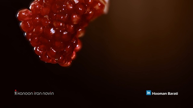 Video Reference: Red, Macro photography, Water, Close-up, Organism, Font, Still life photography, Photography, Plant, Berry