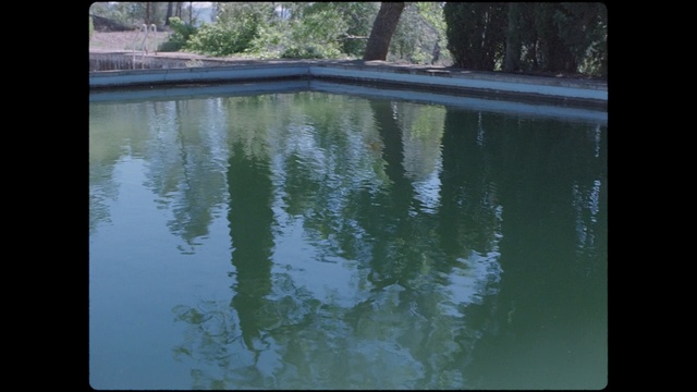 Video Reference: Reflection, Water, Water resources, Nature, Pond, Fish pond, Tree, Watercourse, Bank, Reservoir, Person