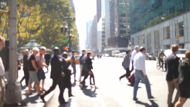 Video Reference: Pedestrian, People, Crowd, Metropolitan area, Walking, Snapshot, Human settlement, Public space, Street, Urban area, Person
