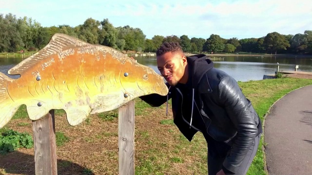 Video Reference: Fish, Fish, Carp, Fishing, Recreation, Bony-fish, Pond, Person