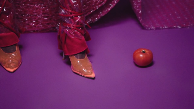 Video Reference: pink, purple, violet, magenta, macro photography, shoe