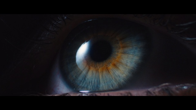 Video Reference: Iris, Eye, Organ, Close-up, Darkness, Eyelash, Macro photography, Human body, Photography, Circle, Indoor, Sitting, Dark, Looking, Light, Computer, Table, Black, Cat, White, Eyes, Astronomy