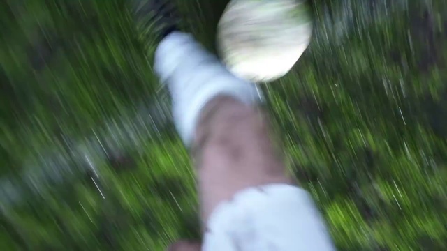 Video Reference: Green, Nature, Grass, Natural environment, Leaf, Grass, Plant, Hand, Leg, Tree