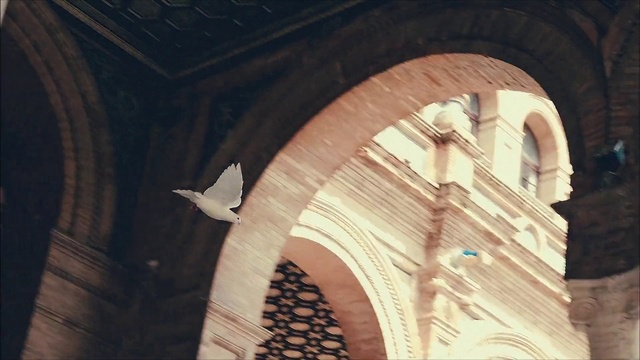 Video Reference: Arch, Architecture, Sky, Holy places, Building, Column, Place of worship, Basilica, Church, Night