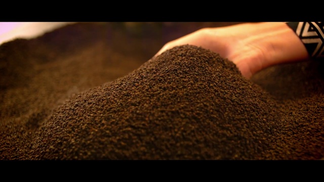 Video Reference: Brown, Soil, Photography, Person, Indoor, Hand, Sitting, Front, Man, Close, Holding, Using, Laptop, Someone, Computer, Sand, Black, Laying, White, Cat, Hill, Food, Closeup, Seasoning