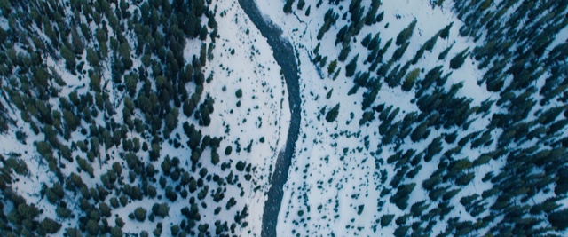 Video Reference: Blue, Green, Turquoise, Pattern, Tree, Textile