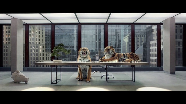 Video Reference: Interior design, Sporting Group, Window, Furniture, House, Table, Spaniel, Display case, Glass, Canidae