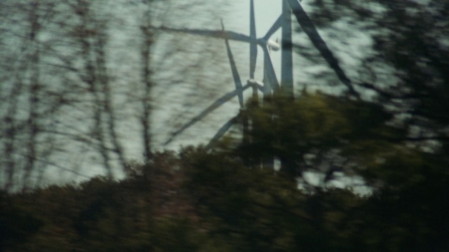Video Reference: Nature, Tree, Overhead power line, Sky, Branch, Atmospheric phenomenon, Natural environment, Water, Biome, Atmosphere