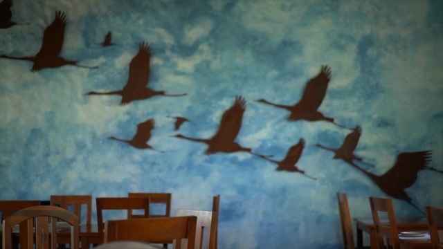 Video Reference: Blue, Wall, Painting, Bird, Art, Mural, Flock, Sky, Visual arts, Seabird