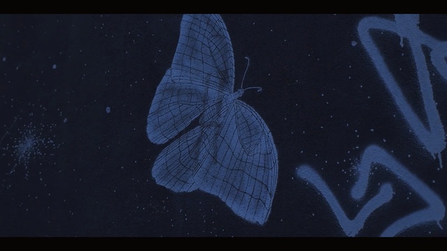 Video Reference: blue, black, atmosphere, sky, darkness, organism, space, invertebrate, night, moths and butterflies, Person