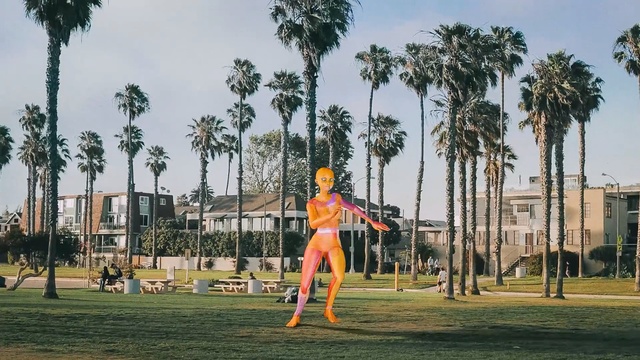 Video Reference: tree, plant, sky, palm tree, arecales, tourist attraction, leisure, water, city, grass, Person