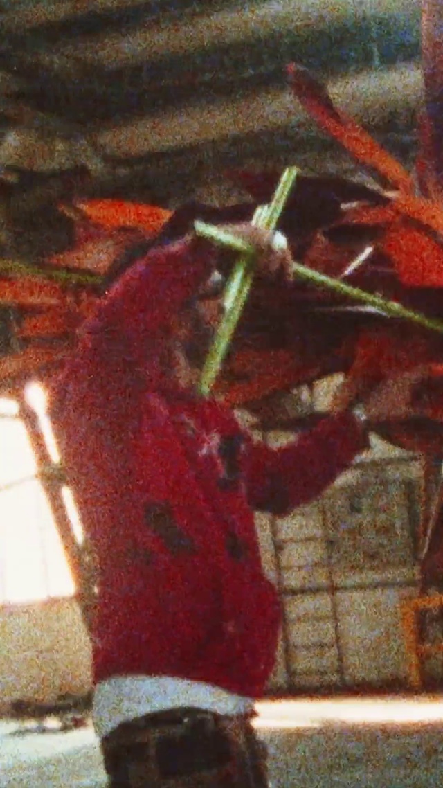 Video Reference: Painting, Art, Modern art, Still life