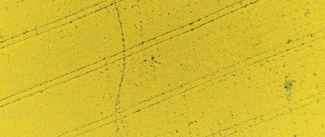 Video Reference: yellow, line, pattern, Person