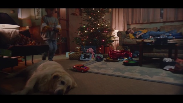 Video Reference: Mammal, Dog, Canidae, Dog breed, Carnivore, Christmas, Sporting Group, Goldendoodle, West highland white terrier, Cavachon