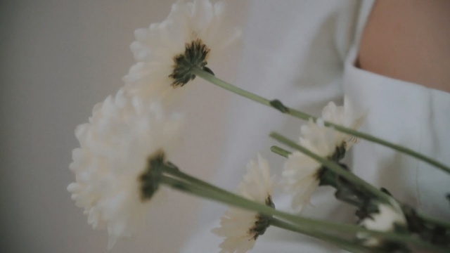 Video Reference: flower, flora, plant, spring, plant stem, petal, twig