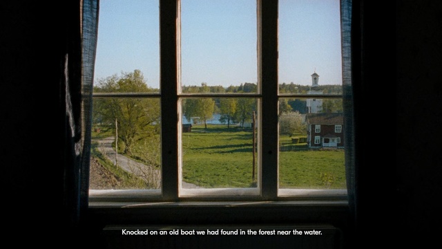 Video Reference: window, sky, sunlight, tree, house, glass, home, door, grass, sash window, Person