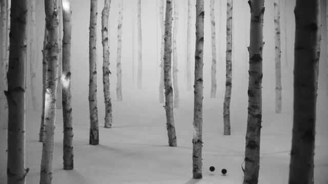 Video Reference: black and white, monochrome photography, tree, winter, snow, freezing, birch, photography, monochrome, wood, Person