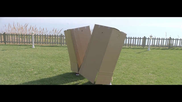 Video Reference: Grass, Fence, Tree, Land lot, Wood, Lawn, Plant, Grassland