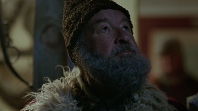 Video Reference: facial hair, beard, human, screenshot