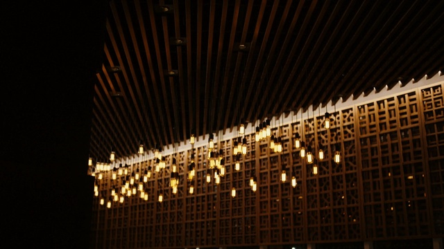 Video Reference: landmark, night, light, architecture, lighting, metropolis, darkness, building, skyscraper, line