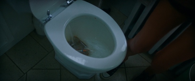 Video Reference: Toilet, Plumbing fixture, Toilet seat, Water, Bidet, Bathroom, Plumbing, Urinal