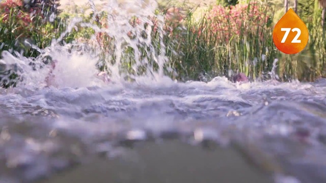Video Reference: Water, Nature, Water resources, Watercourse, Grass, River, Geological phenomenon, Wave, Plant, Pond