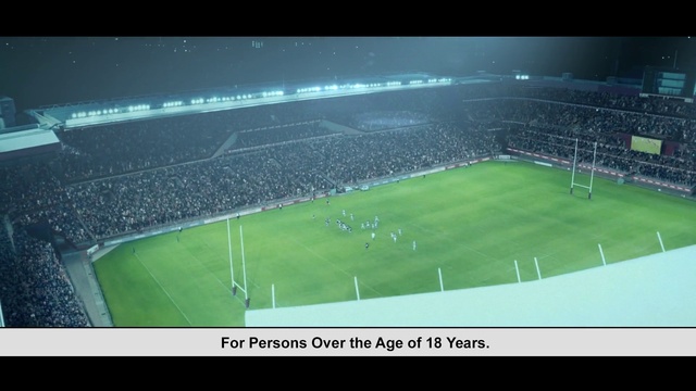 Video Reference: Stadium, Sport venue, Soccer-specific stadium, Arena, Atmosphere, Artificial turf, Grass, Team sport, Player, Sports equipment