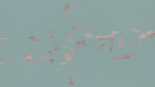 Video Reference: sky, pink, red, flock, cloud, daytime, atmosphere, font, wing, bird migration