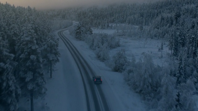Video Reference: snow, winter, freezing, geological phenomenon, tree, frost, road, sky, winter storm, blizzard