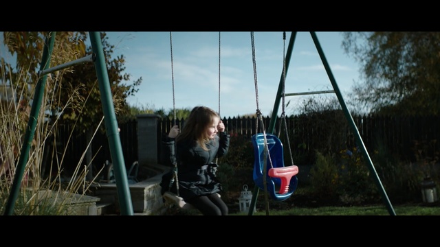 Video Reference: swing, nature, photograph, tree, outdoor play equipment, sky, fun, woody plant, mode of transport, public space, Person