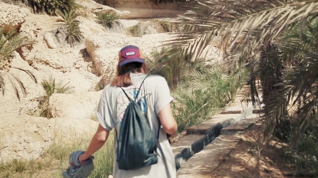 Video Reference: Photograph, Tree, Adaptation, Grass, Plant, Landscape, Geology, Travel, Photography, Palm tree