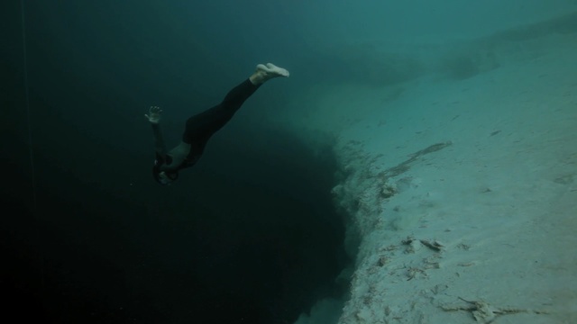 Video Reference: underwater diving, water, underwater, freediving, scuba diving, diving, sea, recreation, marine biology, organism