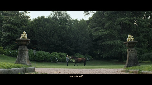 Video Reference: Nature, Statue, Tree, Grass, Sculpture, Lawn, Adaptation, Garden, Park, Plant