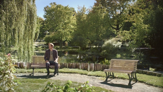 Video Reference: tree, plant, garden, grass, yard, path, backyard, landscape, park, lawn