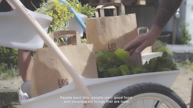 Video Reference: Leaf vegetable, Vegetable, Herb, Plant, Vehicle, Vegetarian food, Food