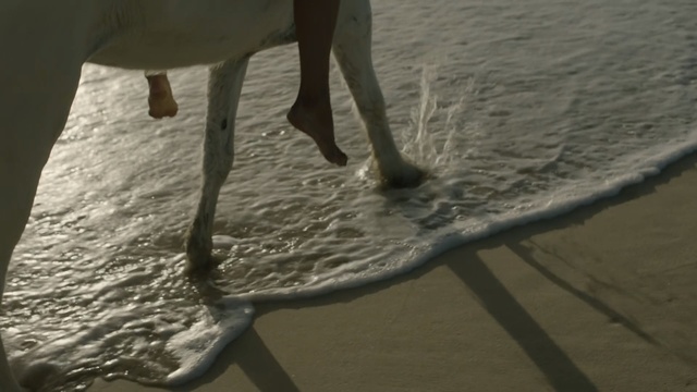 Video Reference: Water, Sand, Leg, Shadow