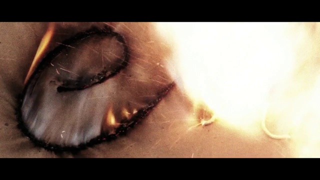 Video Reference: Eye, Close-up, Iris, Brown, Organ, Nose, Eyebrow, Eyelash, Macro photography, Ear