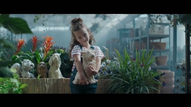 Video Reference: plant, nature, flower, ecosystem, flora, vertebrate, fun, girl, tree, screenshot