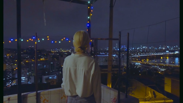 Video Reference: night, urban area, sky, city, light, lighting, metropolis, metropolitan area, darkness, electricity, Person