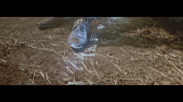 Video Reference: Soil, Footwear, Grass, Grass family, Organism, Adaptation, Photography, Shoe, Landscape, Wildlife