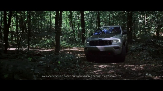 Video Reference: car, motor vehicle, nature, vehicle, off roading, road, ecosystem, mode of transport, automotive design, automotive tire